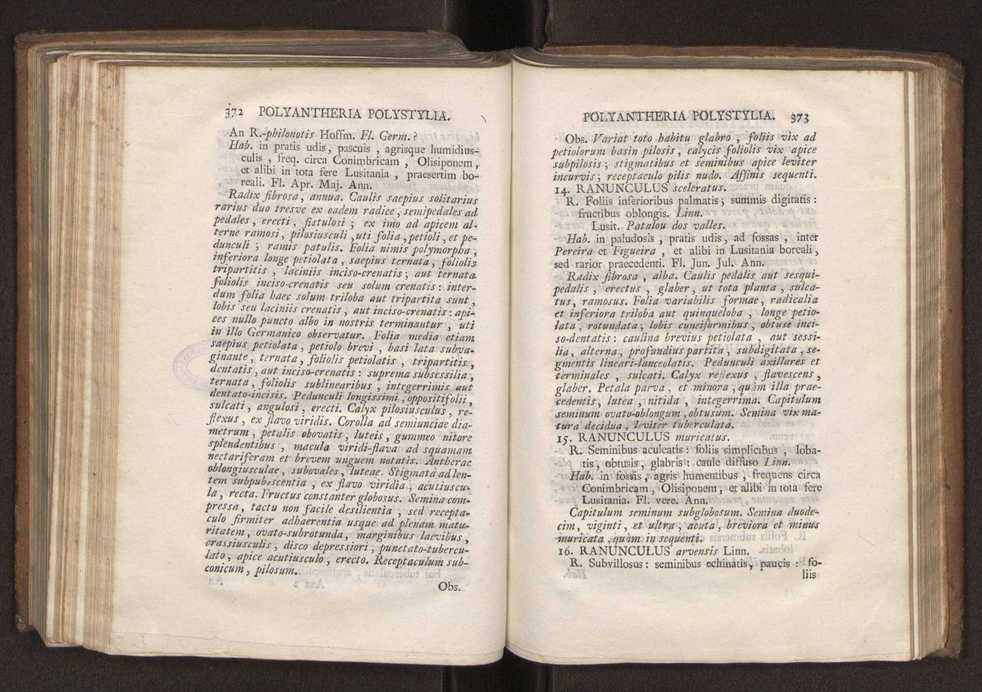 Felicis Avellar Broteri ... Flora Lusitanica, seu plantarum, quae in Lusitania vel sponte crescunt, vel frequentius colunter, ex florum praesertim sexubus systematice distributarum, synopsis. Vol. 2 189