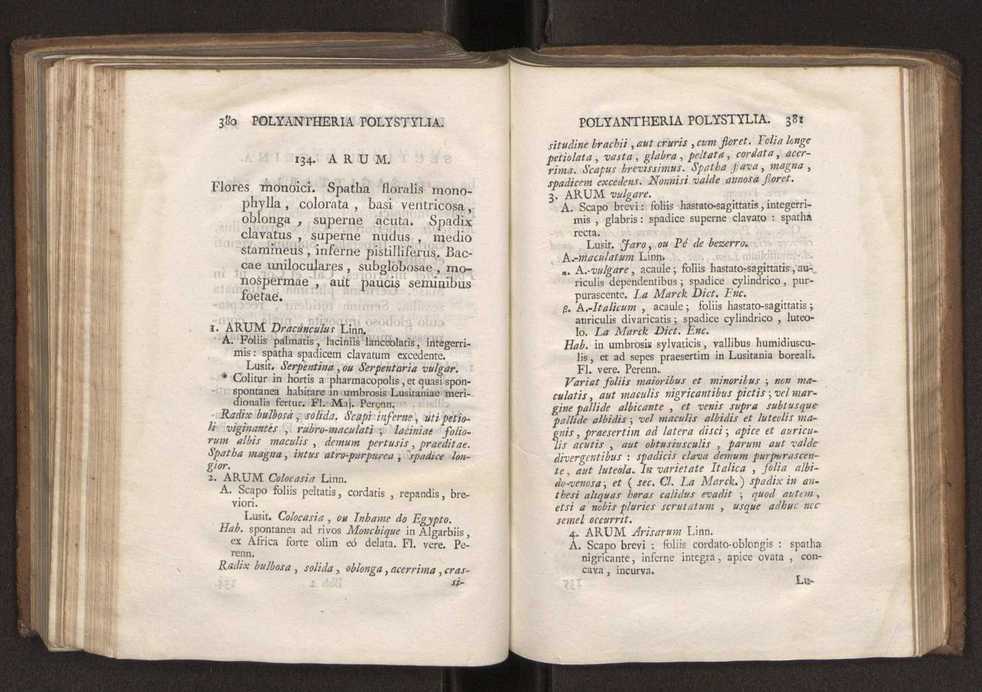 Felicis Avellar Broteri ... Flora Lusitanica, seu plantarum, quae in Lusitania vel sponte crescunt, vel frequentius colunter, ex florum praesertim sexubus systematice distributarum, synopsis. Vol. 2 193