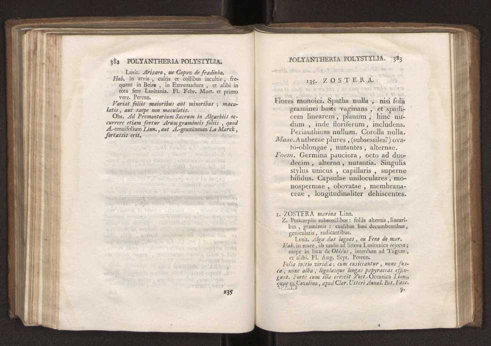Felicis Avellar Broteri ... Flora Lusitanica, seu plantarum, quae in Lusitania vel sponte crescunt, vel frequentius colunter, ex florum praesertim sexubus systematice distributarum, synopsis. Vol. 2 194