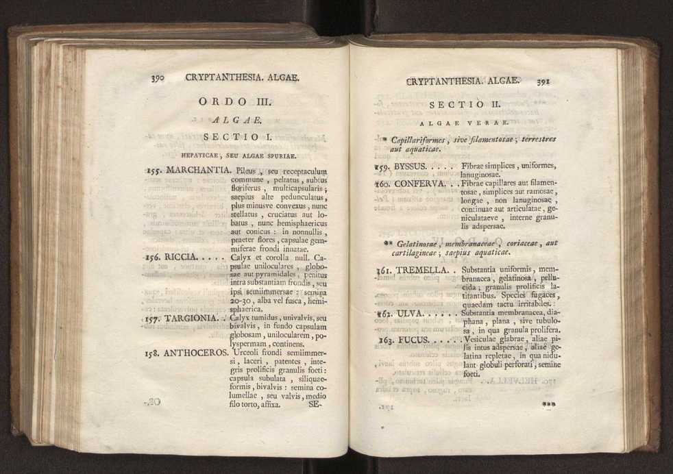 Felicis Avellar Broteri ... Flora Lusitanica, seu plantarum, quae in Lusitania vel sponte crescunt, vel frequentius colunter, ex florum praesertim sexubus systematice distributarum, synopsis. Vol. 2 198