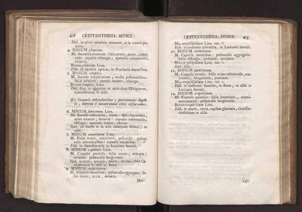 Felicis Avellar Broteri ... Flora Lusitanica, seu plantarum, quae in Lusitania vel sponte crescunt, vel frequentius colunter, ex florum praesertim sexubus systematice distributarum, synopsis. Vol. 2 206
