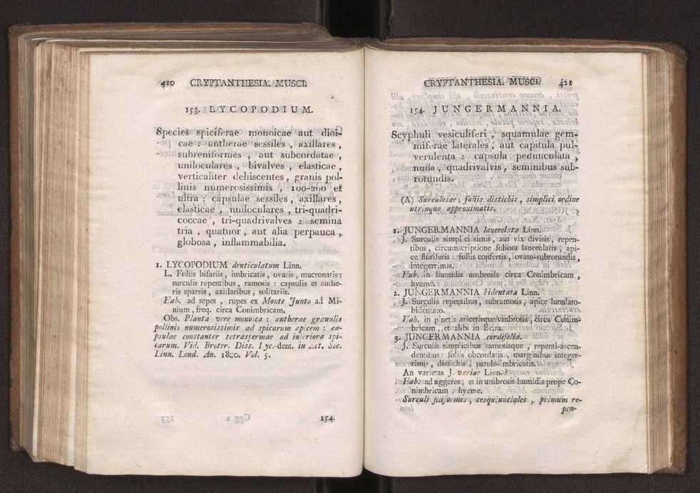 Felicis Avellar Broteri ... Flora Lusitanica, seu plantarum, quae in Lusitania vel sponte crescunt, vel frequentius colunter, ex florum praesertim sexubus systematice distributarum, synopsis. Vol. 2 213