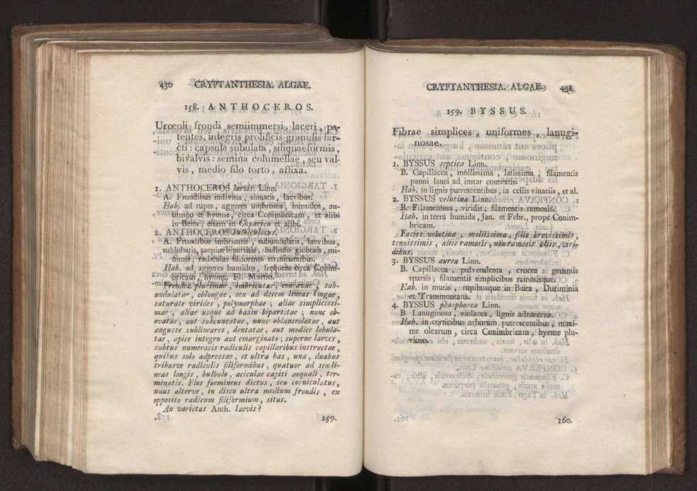 Felicis Avellar Broteri ... Flora Lusitanica, seu plantarum, quae in Lusitania vel sponte crescunt, vel frequentius colunter, ex florum praesertim sexubus systematice distributarum, synopsis. Vol. 2 218