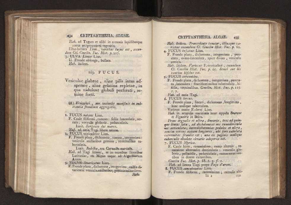 Felicis Avellar Broteri ... Flora Lusitanica, seu plantarum, quae in Lusitania vel sponte crescunt, vel frequentius colunter, ex florum praesertim sexubus systematice distributarum, synopsis. Vol. 2 220