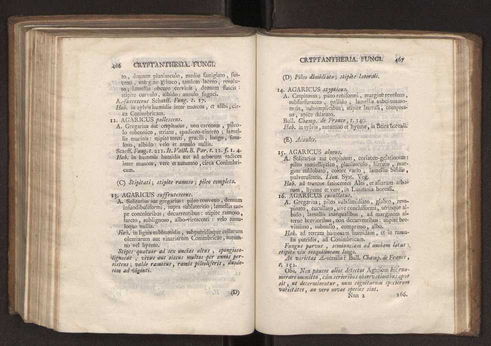Felicis Avellar Broteri ... Flora Lusitanica, seu plantarum, quae in Lusitania vel sponte crescunt, vel frequentius colunter, ex florum praesertim sexubus systematice distributarum, synopsis. Vol. 2 235