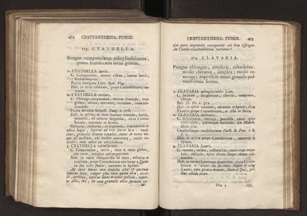 Felicis Avellar Broteri ... Flora Lusitanica, seu plantarum, quae in Lusitania vel sponte crescunt, vel frequentius colunter, ex florum praesertim sexubus systematice distributarum, synopsis. Vol. 2 239