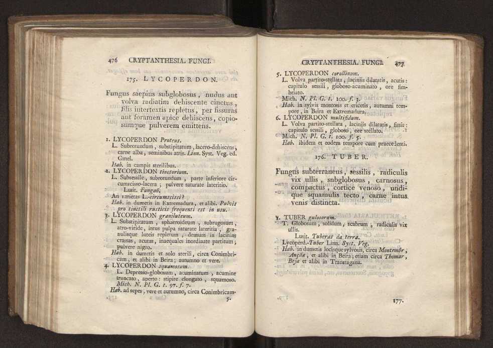 Felicis Avellar Broteri ... Flora Lusitanica, seu plantarum, quae in Lusitania vel sponte crescunt, vel frequentius colunter, ex florum praesertim sexubus systematice distributarum, synopsis. Vol. 2 240