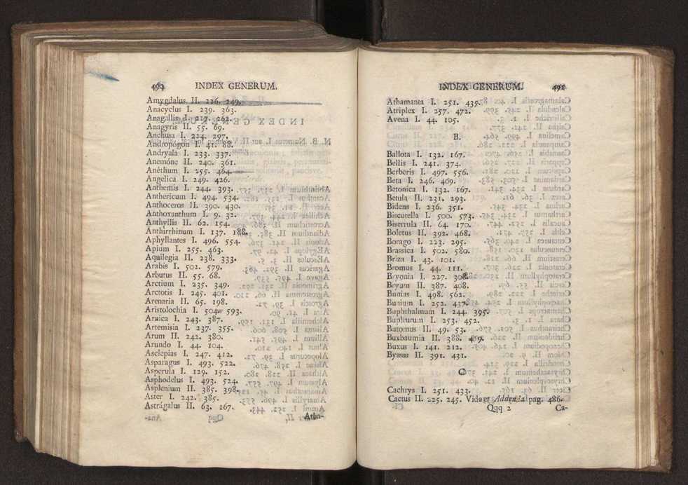 Felicis Avellar Broteri ... Flora Lusitanica, seu plantarum, quae in Lusitania vel sponte crescunt, vel frequentius colunter, ex florum praesertim sexubus systematice distributarum, synopsis. Vol. 2 247