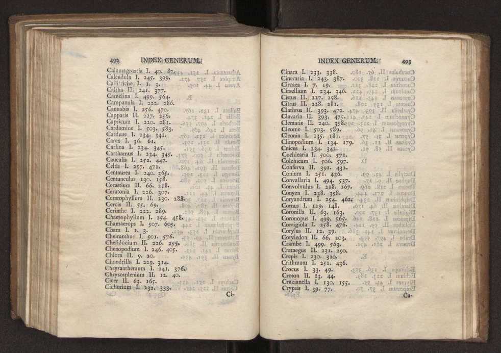 Felicis Avellar Broteri ... Flora Lusitanica, seu plantarum, quae in Lusitania vel sponte crescunt, vel frequentius colunter, ex florum praesertim sexubus systematice distributarum, synopsis. Vol. 2 248