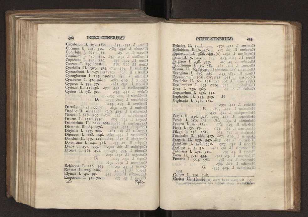 Felicis Avellar Broteri ... Flora Lusitanica, seu plantarum, quae in Lusitania vel sponte crescunt, vel frequentius colunter, ex florum praesertim sexubus systematice distributarum, synopsis. Vol. 2 249