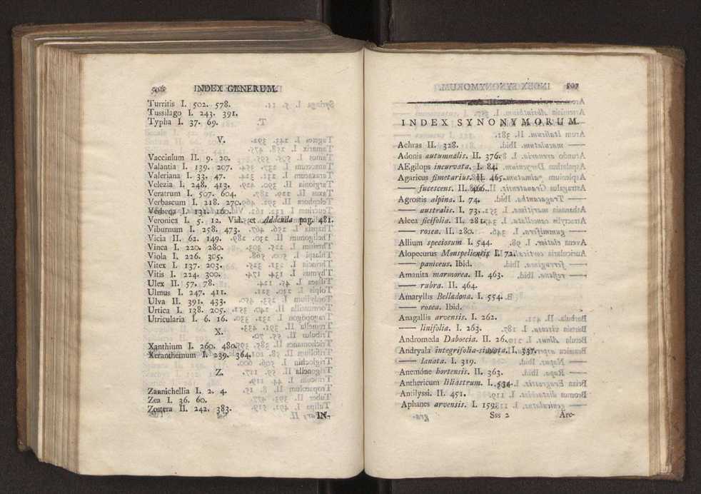 Felicis Avellar Broteri ... Flora Lusitanica, seu plantarum, quae in Lusitania vel sponte crescunt, vel frequentius colunter, ex florum praesertim sexubus systematice distributarum, synopsis. Vol. 2 255