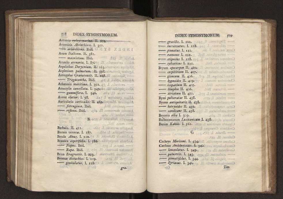 Felicis Avellar Broteri ... Flora Lusitanica, seu plantarum, quae in Lusitania vel sponte crescunt, vel frequentius colunter, ex florum praesertim sexubus systematice distributarum, synopsis. Vol. 2 256