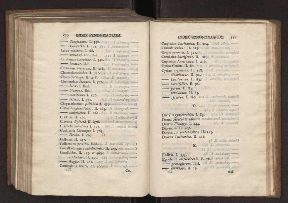 Felicis Avellar Broteri ... Flora Lusitanica, seu plantarum, quae in Lusitania vel sponte crescunt, vel frequentius colunter, ex florum praesertim sexubus systematice distributarum, synopsis. Vol. 2 257