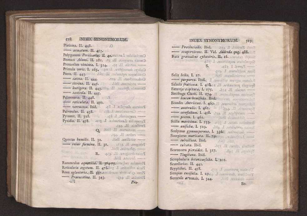 Felicis Avellar Broteri ... Flora Lusitanica, seu plantarum, quae in Lusitania vel sponte crescunt, vel frequentius colunter, ex florum praesertim sexubus systematice distributarum, synopsis. Vol. 2 261