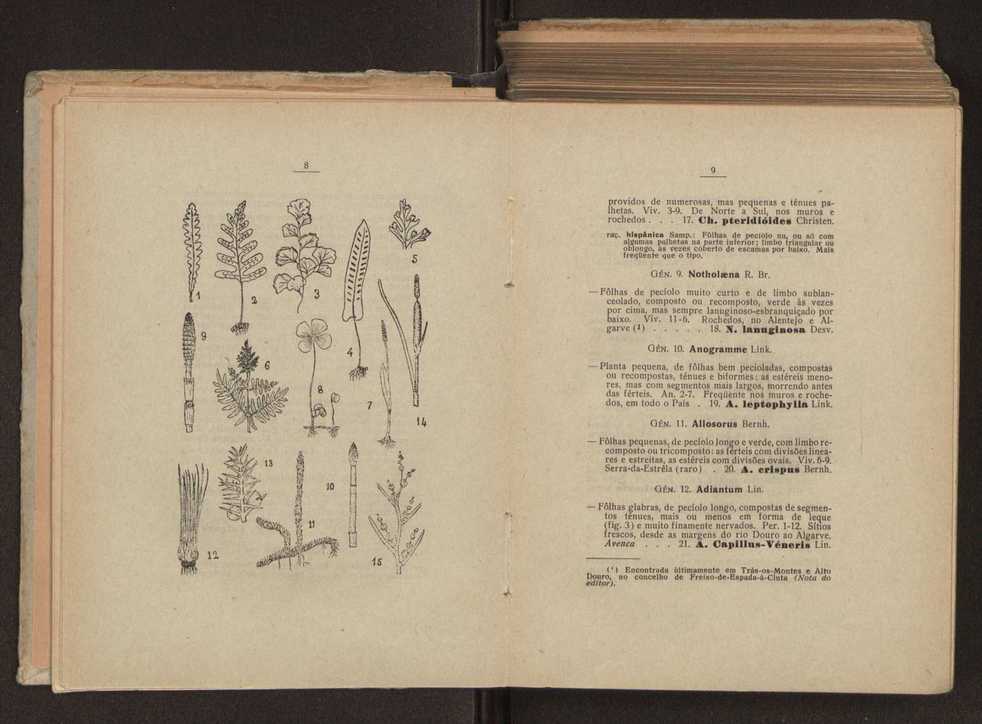 Flora portuguesa 29