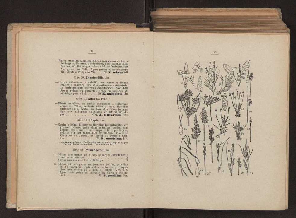 Flora portuguesa 37