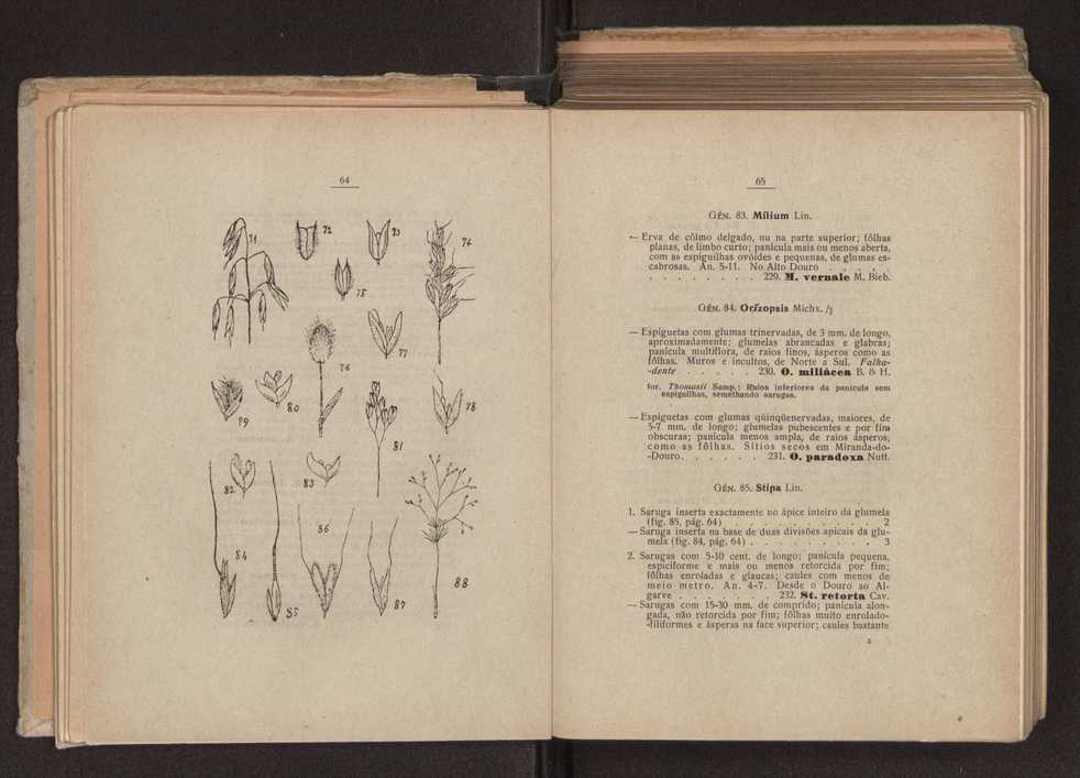 Flora portuguesa 58