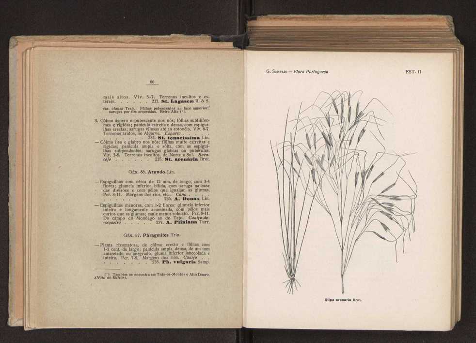 Flora portuguesa 59