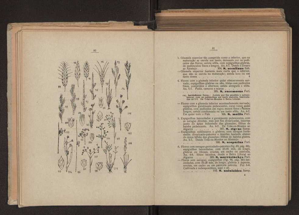 Flora portuguesa 67