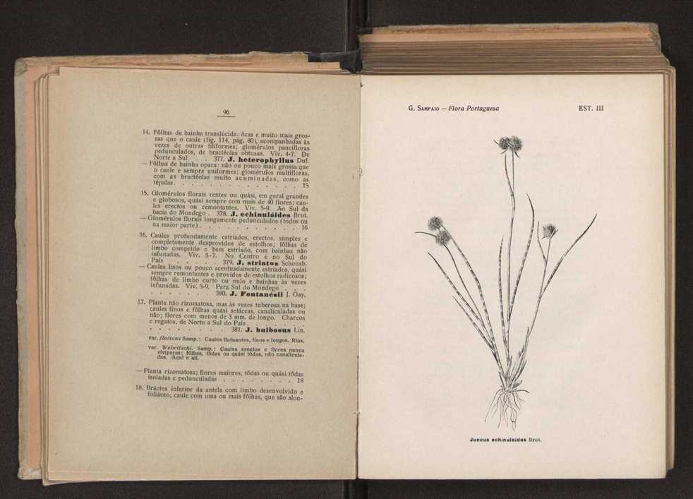 Flora portuguesa 75