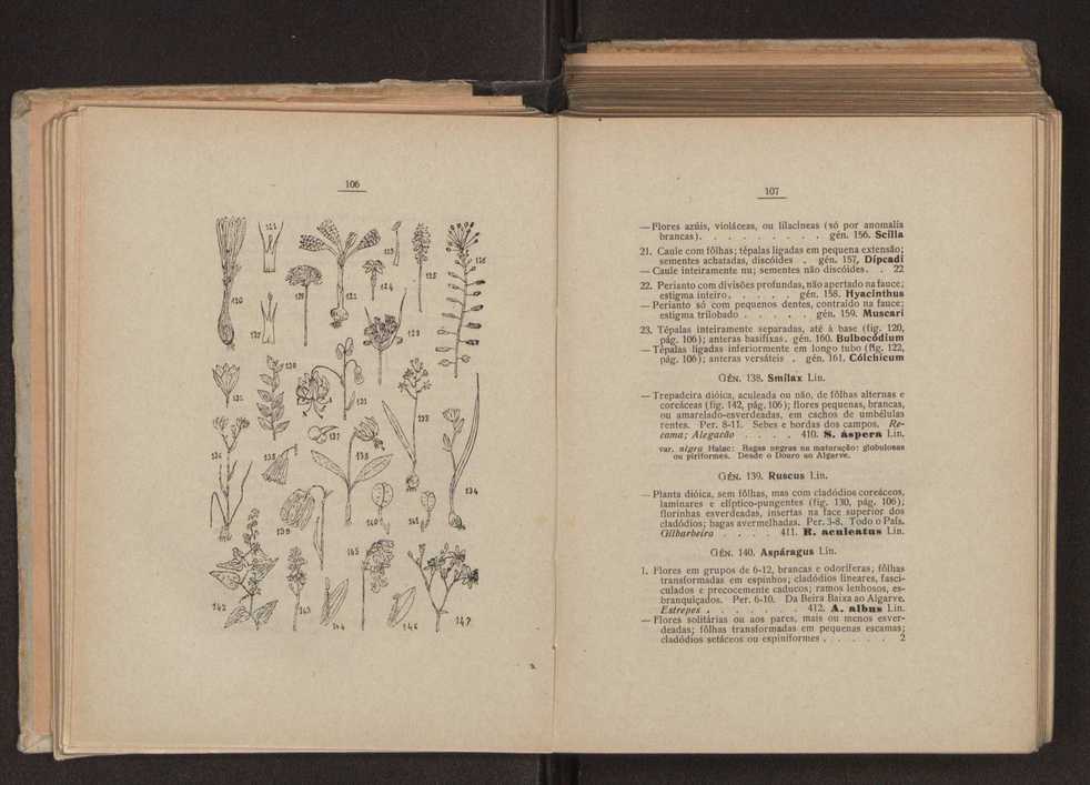 Flora portuguesa 81