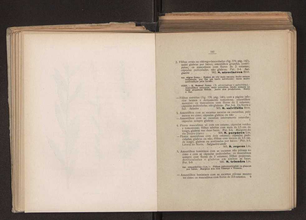 Flora portuguesa 100