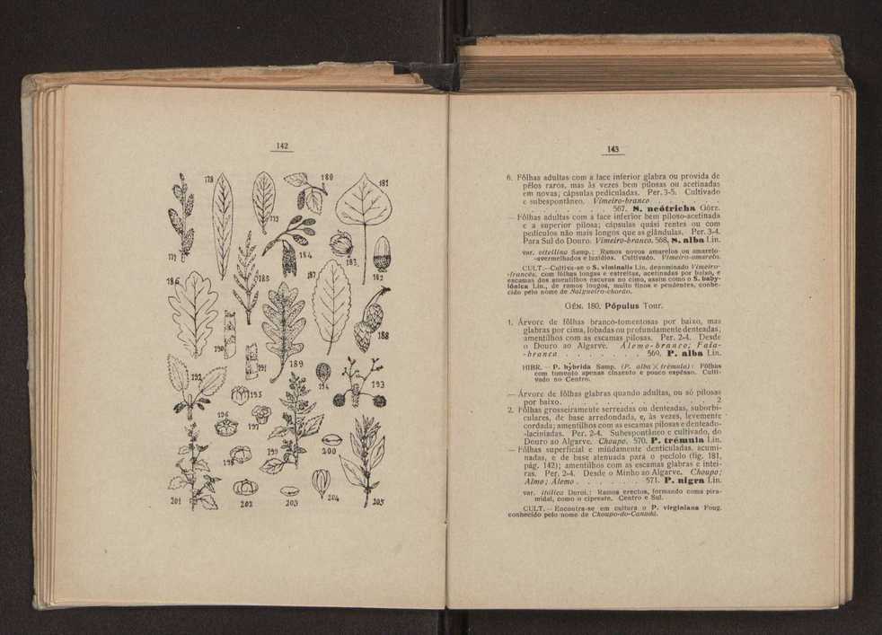 Flora portuguesa 101
