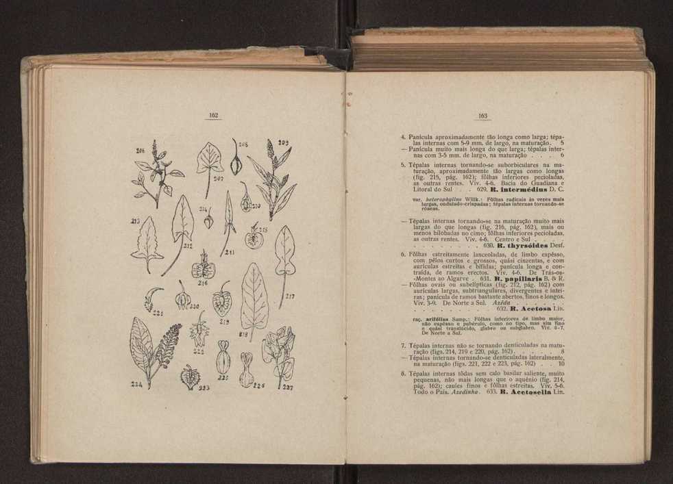 Flora portuguesa 111