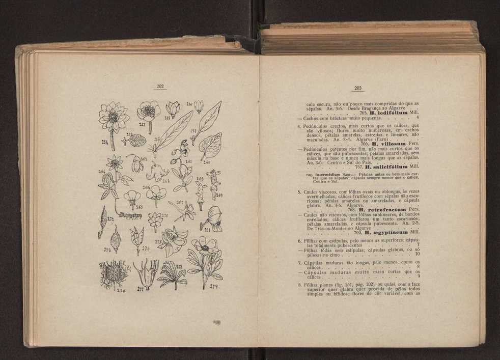 Flora portuguesa 131