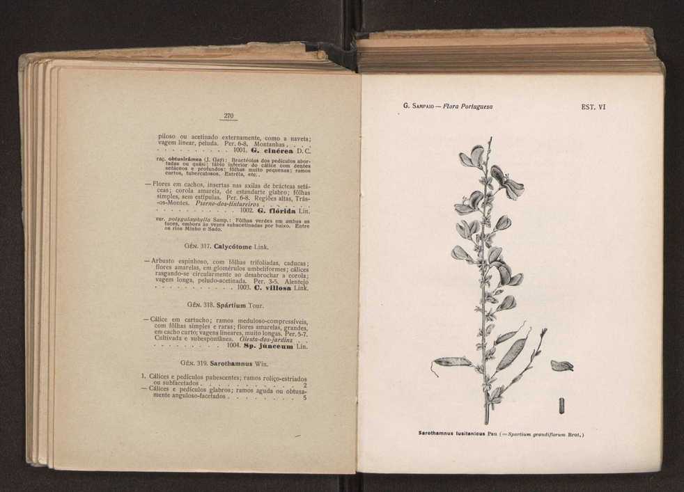 Flora portuguesa 165