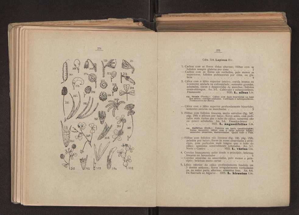 Flora portuguesa 168