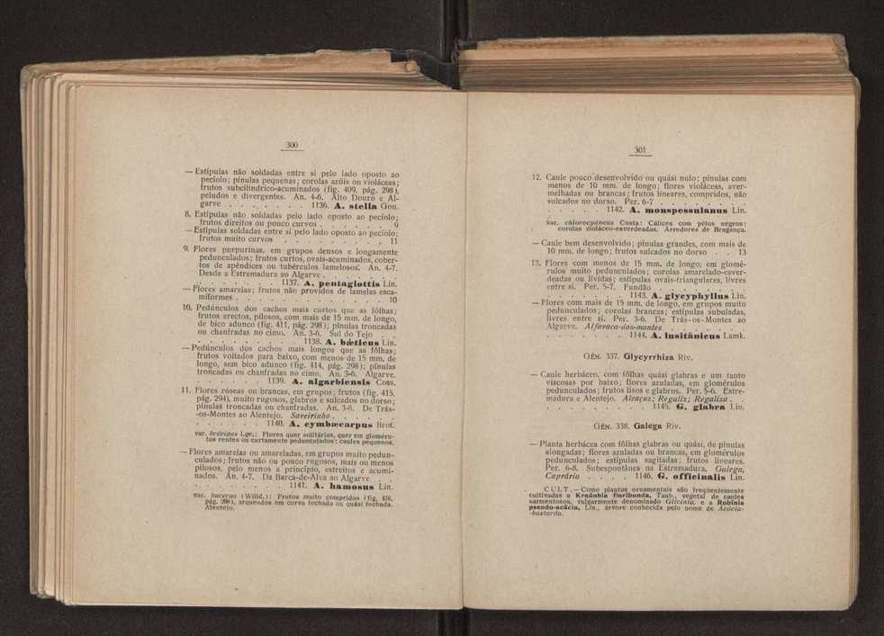 Flora portuguesa 181