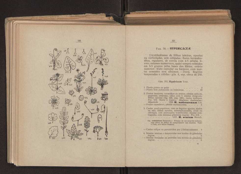 Flora portuguesa 191