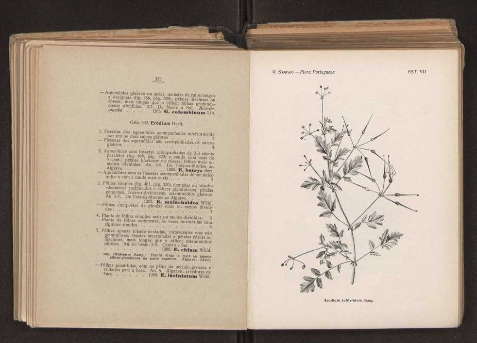 Flora portuguesa 197