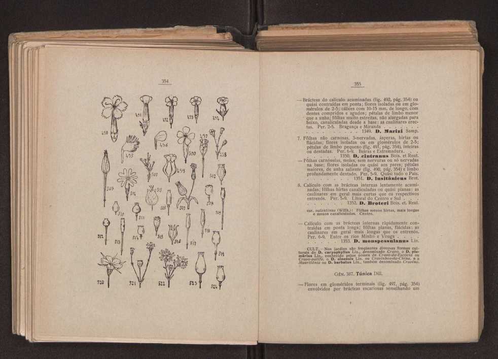 Flora portuguesa 209
