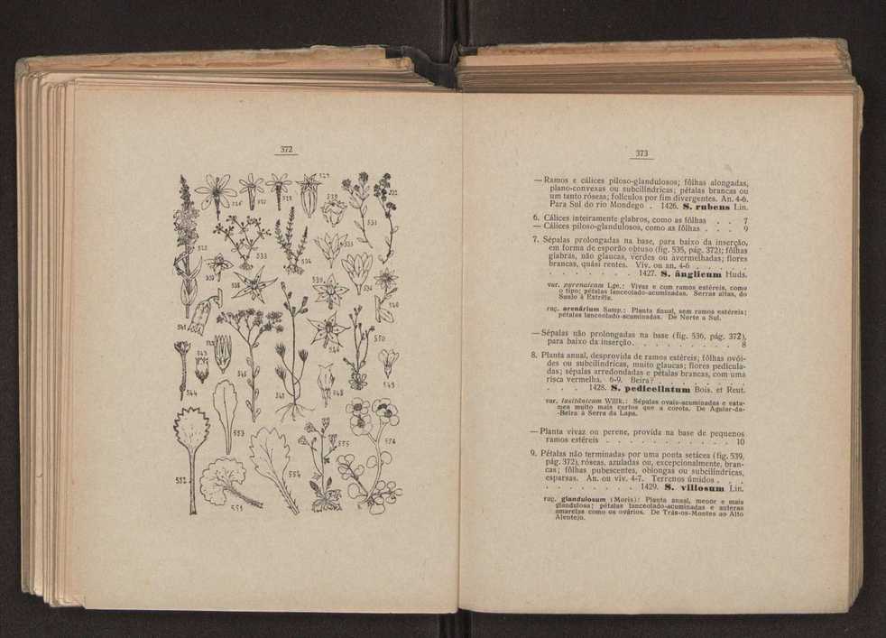 Flora portuguesa 218