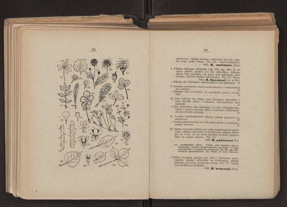 Flora portuguesa 227