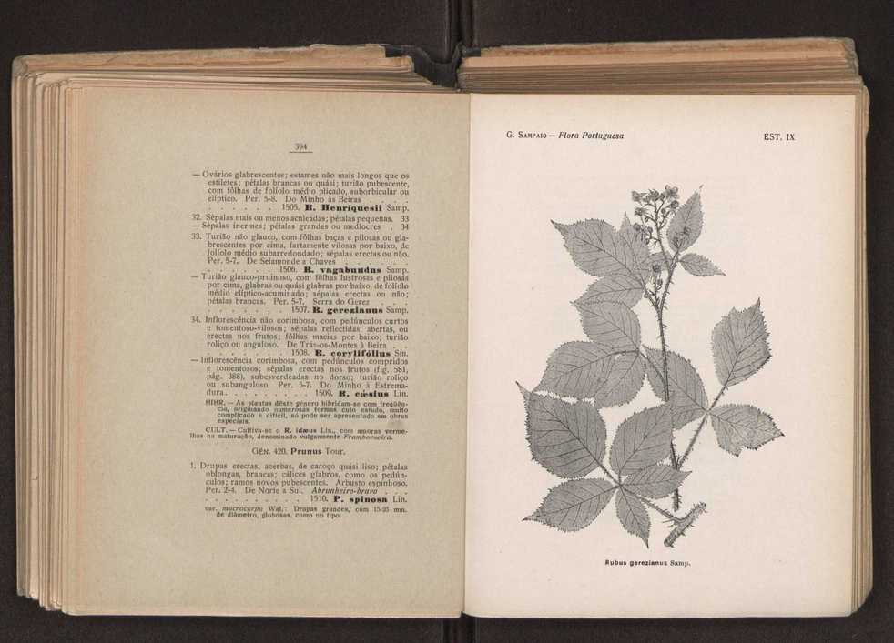 Flora portuguesa 230