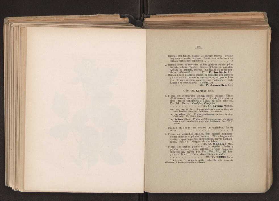 Flora portuguesa 231