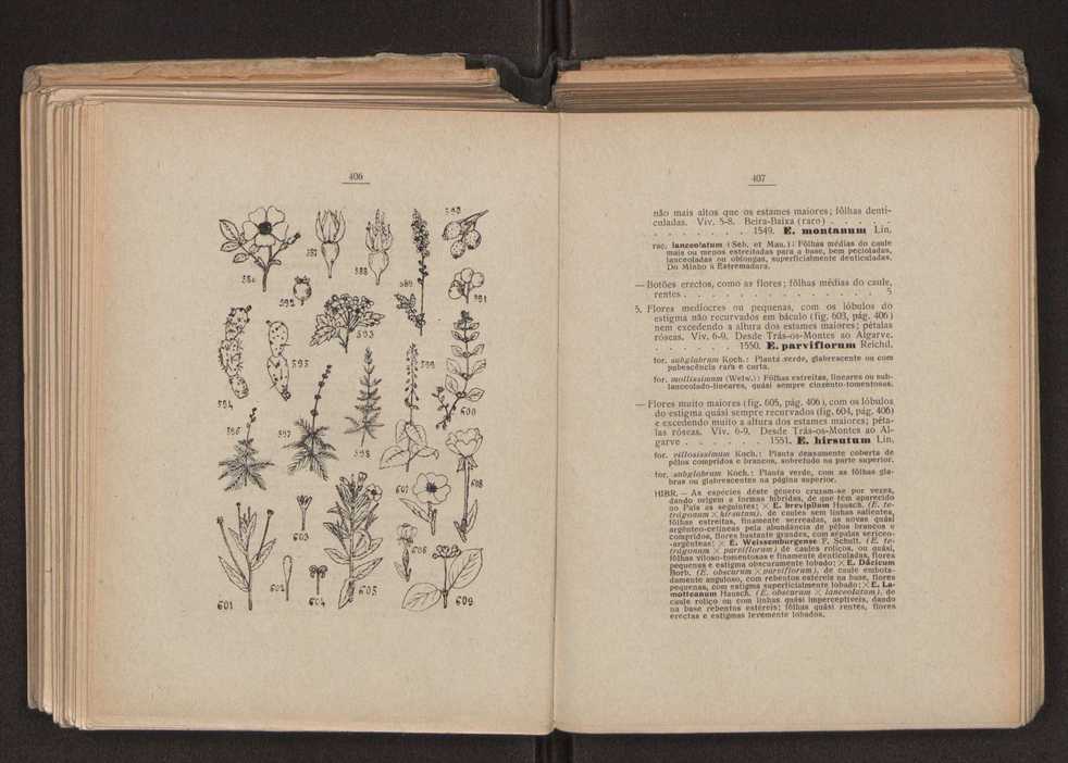 Flora portuguesa 237