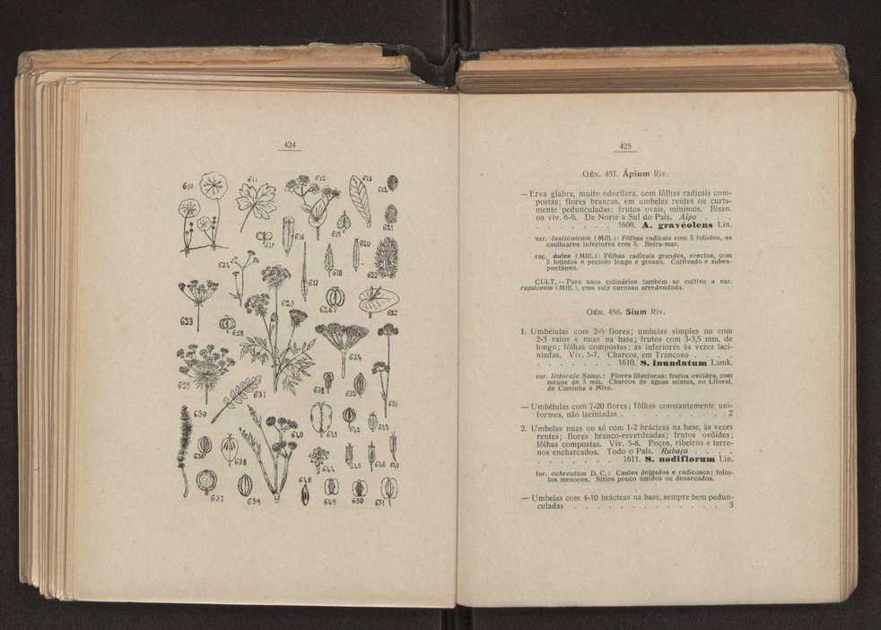Flora portuguesa 246