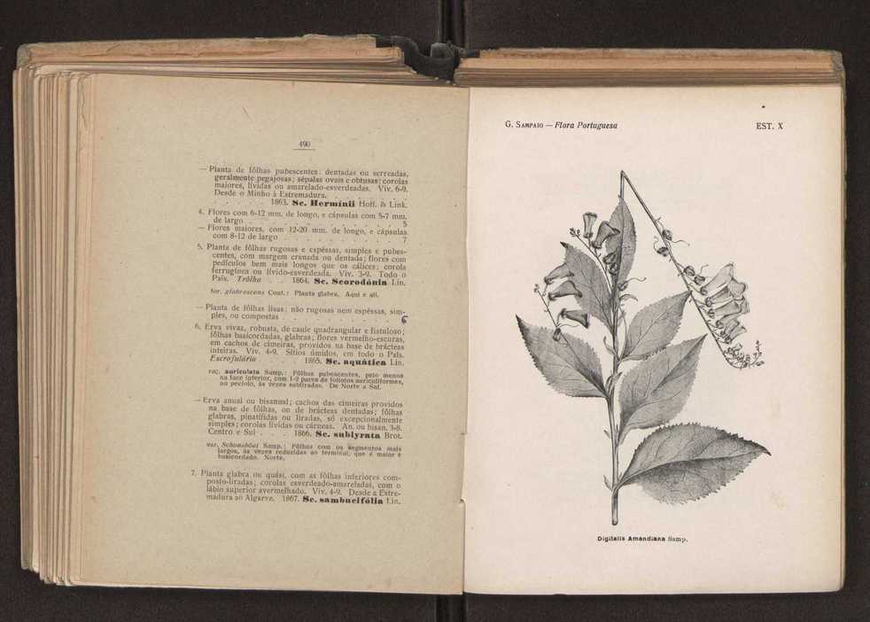 Flora portuguesa 279