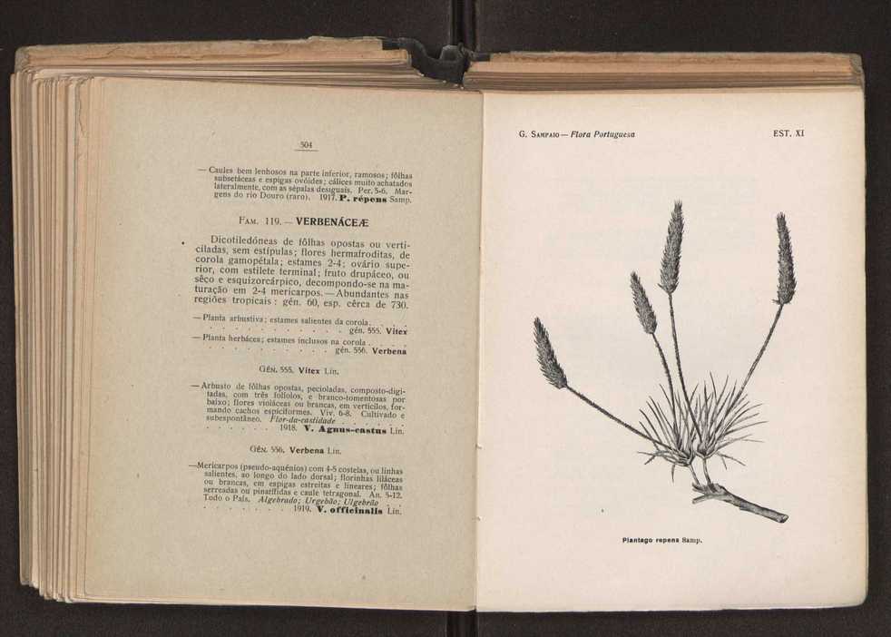 Flora portuguesa 287