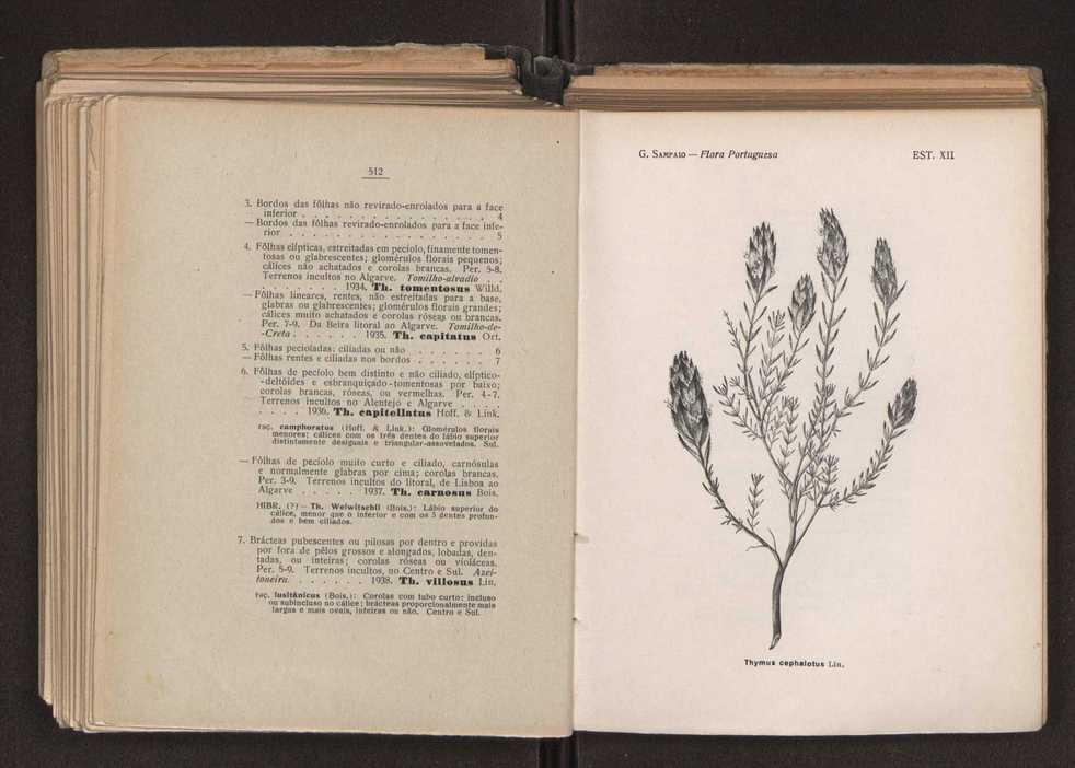 Flora portuguesa 292