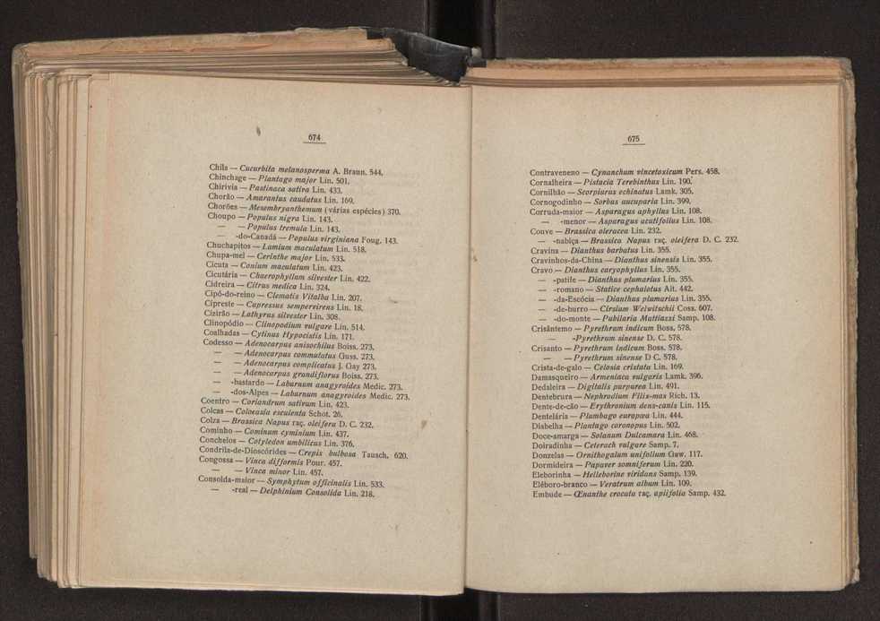 Flora portuguesa 375