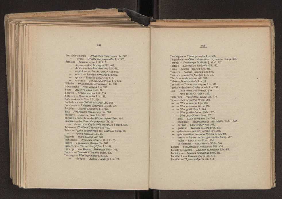 Flora portuguesa 385