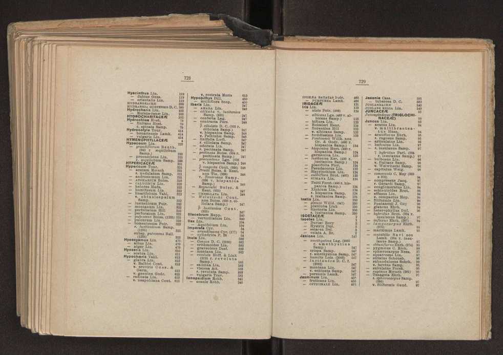 Flora portuguesa 402
