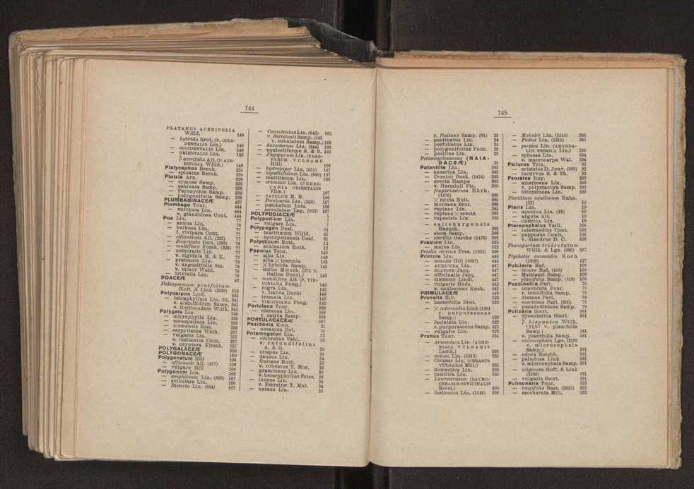 Flora portuguesa 410