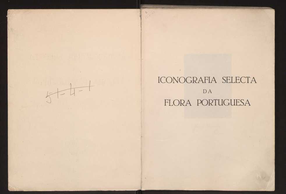 Iconografia selecta da flora portuguesa 2