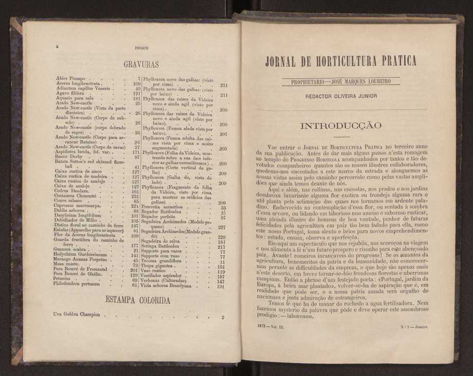 Jornal de horticultura prtica III 7